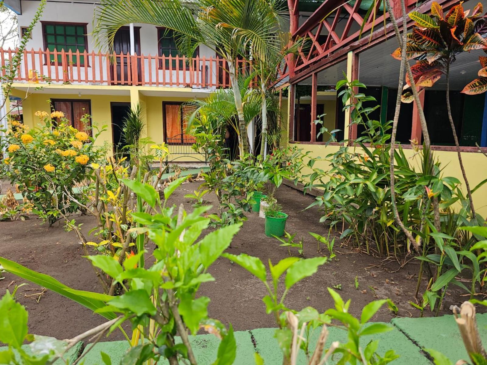 Cabinas Miss Miriam 2 Tortuguero Bagian luar foto